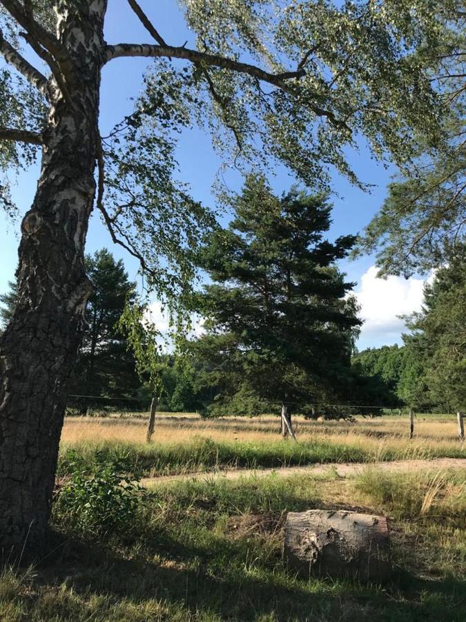 Apartament Forsthaus Zartwitzer Huette Rechlin Zewnętrze zdjęcie