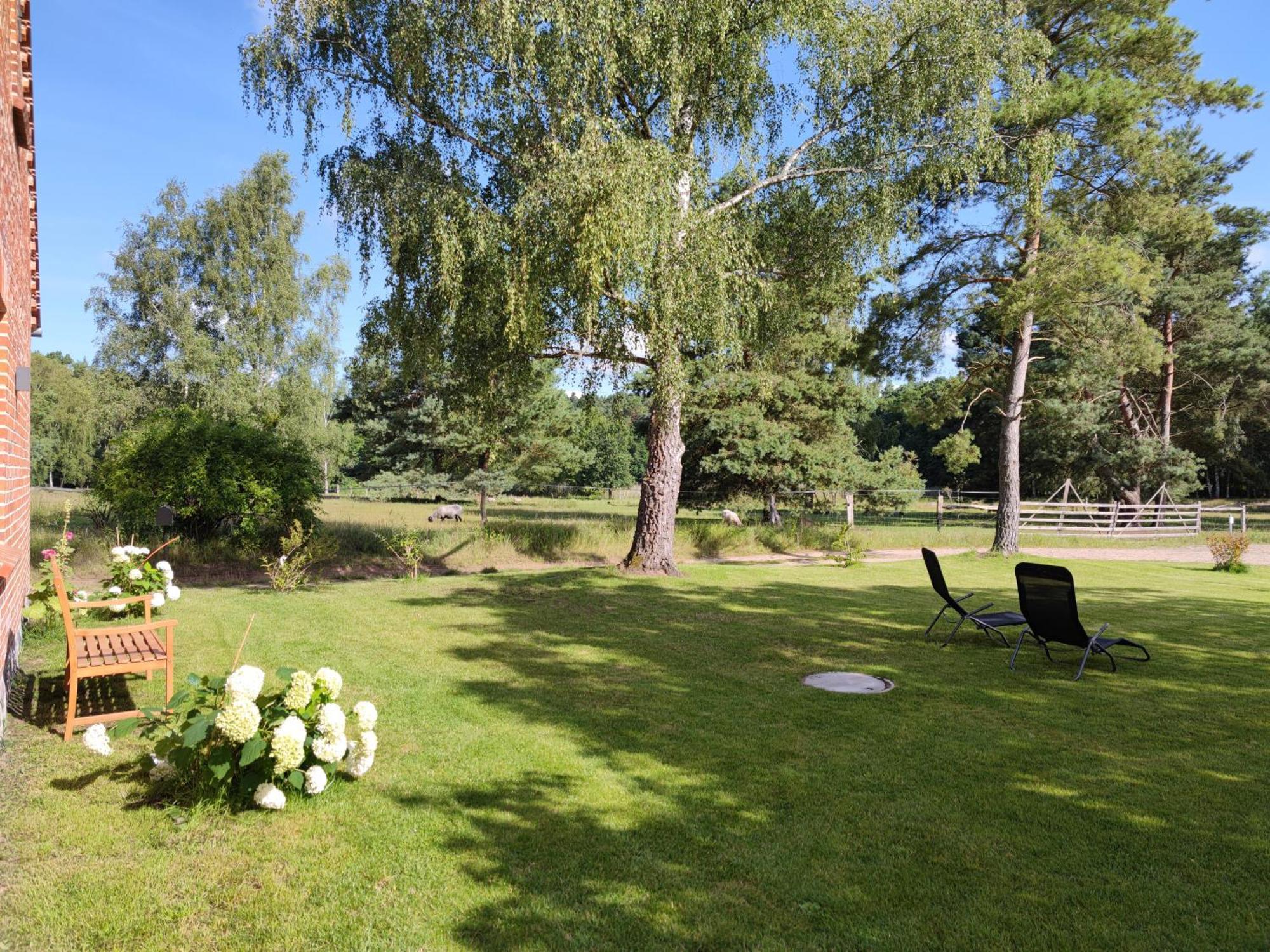 Apartament Forsthaus Zartwitzer Huette Rechlin Zewnętrze zdjęcie